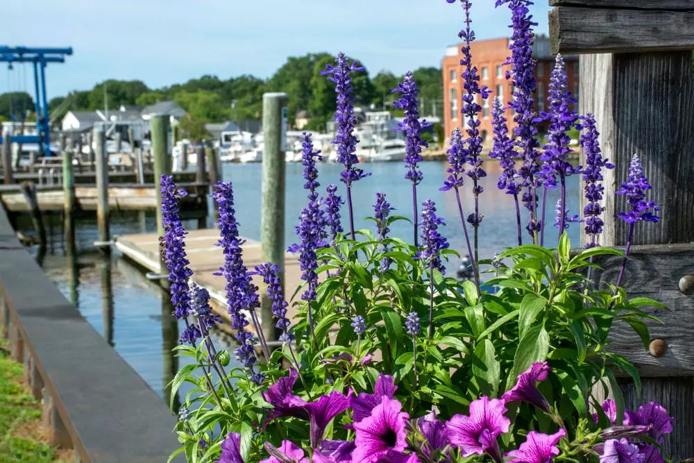 Mystic-River-Mystic-Ct Mystic river mystic ct